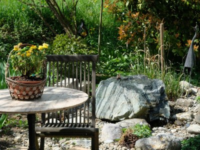 Holiday apartment Wohlfühlzeit - Outdoor photo 3