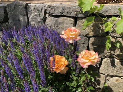 Holiday apartment Wohlfühlzeit - Outdoor photo 4