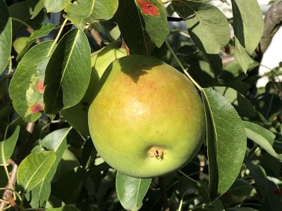 Holiday apartment Wohlfühlzeit - Outdoor photo 5