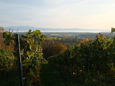 Holiday apartment Wohlfühlzeit - Environment photo 25