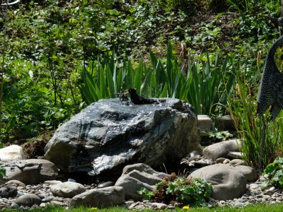 Holiday apartment Wohlfühlzeit - Environment photo 29