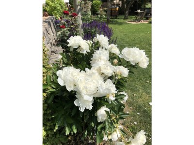 Holiday apartment Wohlfühlzeit - Environment photo 30