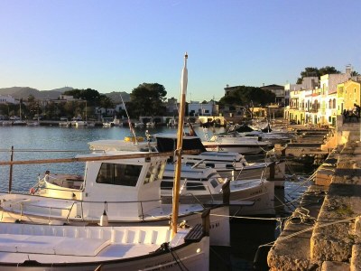 Holiday house Finca Mar d'es Teix - Environment photo 26