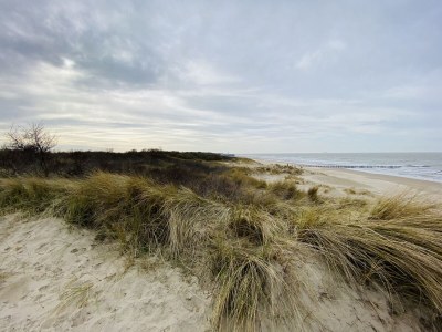 Holiday house CHILL OUT - Environment photo 21