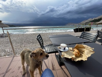 Holiday apartment More - Outdoor photo 2