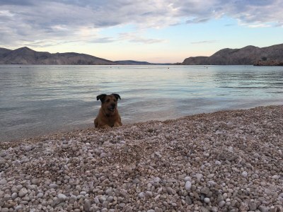 Holiday apartment More - Outdoor photo 8