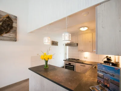 Holiday apartment Texel shower, fireplace and dogs allowed - Features photo 6