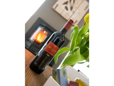 Holiday apartment Texel shower, fireplace and dogs allowed - Features photo 10