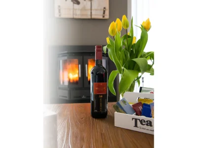 Holiday apartment Texel shower, fireplace and dogs allowed - Features photo 13