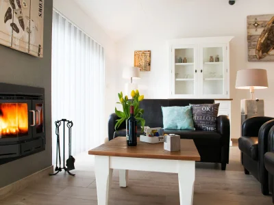 Holiday apartment Texel shower, fireplace and dogs allowed - Features photo 16