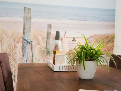 Holiday apartment Texel shower, fireplace and dogs allowed - Features photo 19