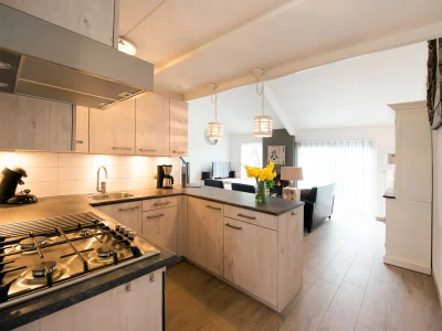 Holiday apartment Texel shower, fireplace and dogs allowed - Features photo 21