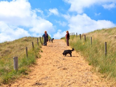 Holiday apartment Texel shower, fireplace and dogs allowed - Environment photo 29