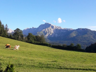 Holiday apartment Lärcheck-Berchtesgaden - Outdoor photo 15