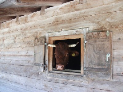 Holiday apartment Lärcheck-Berchtesgaden - Outdoor photo 18