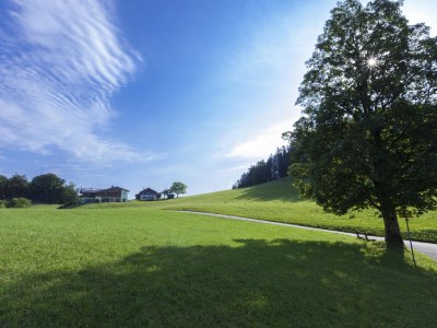 Holiday apartment Lärcheck-Berchtesgaden - Environment photo 39