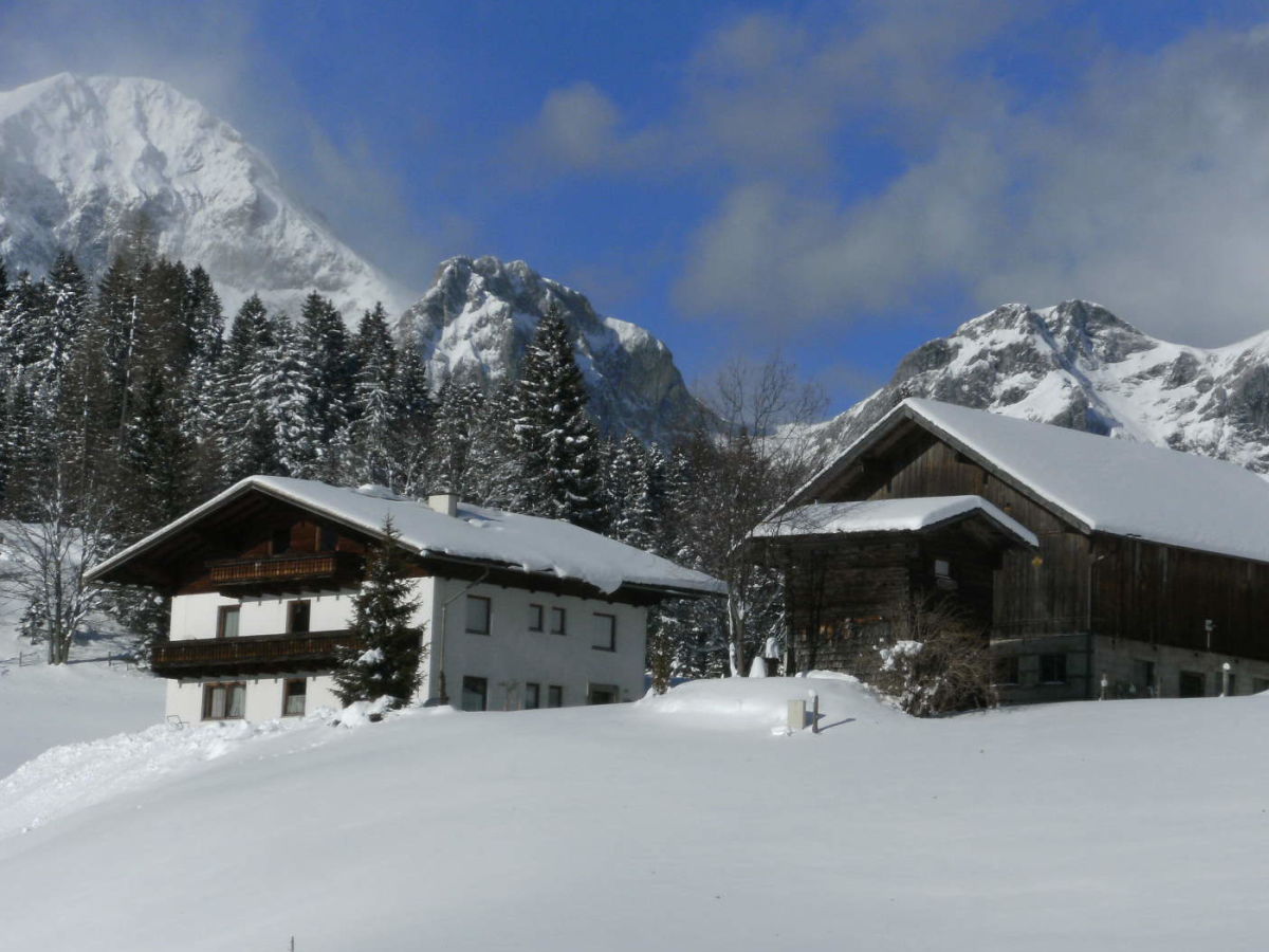 Holiday apartment Oberharreithhof - Outdoor photo 2