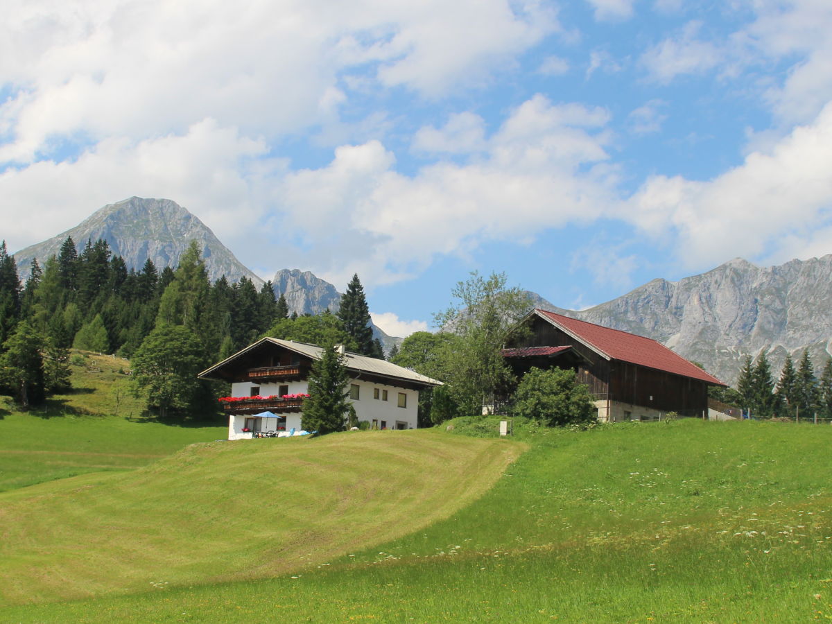 Holiday apartment Oberharreithhof - Outdoor photo 3