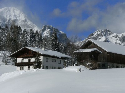 Holiday apartment Oberharreithhof - Outdoor photo 2