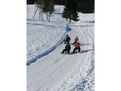 Holiday apartment Oberharreithhof - Environment photo 9