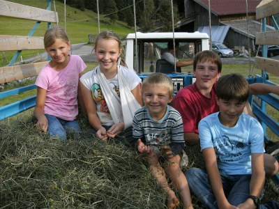 Holiday apartment Oberharreithhof - Environment photo 10