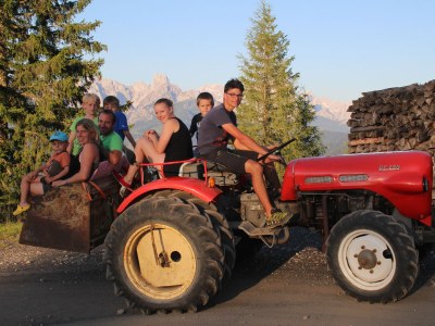 Holiday apartment Oberharreithhof - Environment photo 11