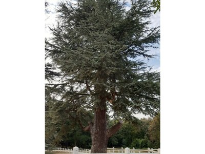 Holiday apartment Challet Bösleben - Environment photo 30