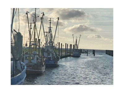 Holiday house Haus Godewind 2 - Environment photo 17