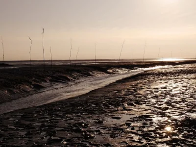 Holiday house Haus Godewind 2 - Environment photo 25