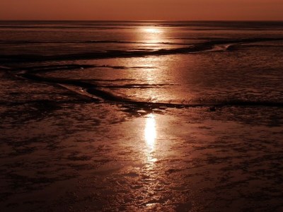 Holiday house Haus Godewind 2 - Environment photo 26