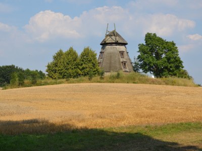 Holiday apartment Schamper Mühle, Kamut - Outdoor photo 8
