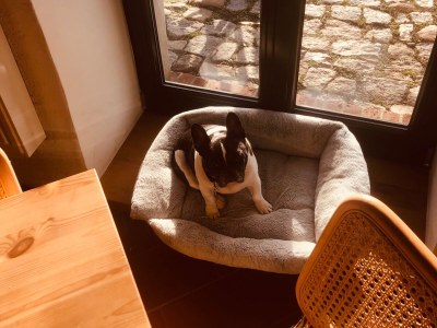 Holiday apartment Schamper Mühle, Kamut - Features photo 29