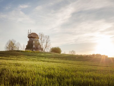 Holiday apartment Einkorn, Schamper Mühle - Outdoor photo 7