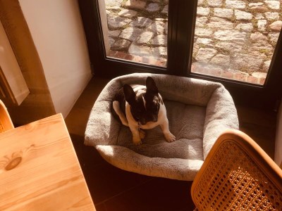 Holiday apartment Einkorn, Schamper Mühle - Features photo 31