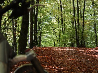 Holiday apartment Einkorn, Schamper Mühle - Environment photo 38