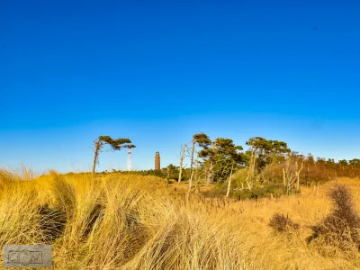 Holiday house Zazu - Environment photo 29