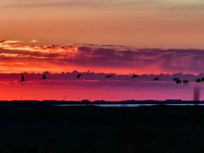 Holiday house Zazu - Environment photo 30