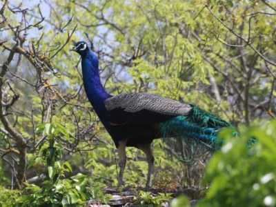 Holiday house Pelagia House - Outdoor photo 12