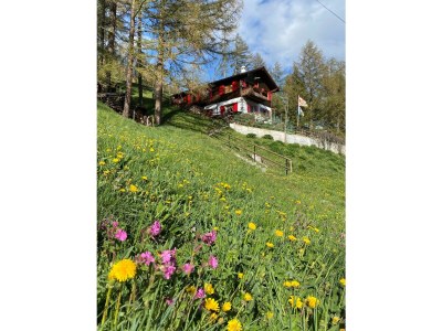 Holiday apartment in Chalet Steinmaetje - Erholung inbegriffen - Outdoor photo 2