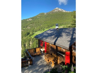 Holiday apartment in Chalet Steinmaetje - Erholung inbegriffen - Outdoor photo 4