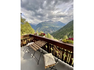 Holiday apartment in Chalet Steinmaetje - Erholung inbegriffen - Outdoor photo 7