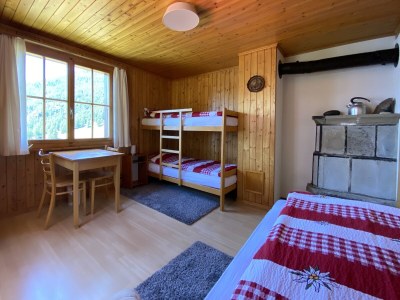 Holiday apartment in Chalet Steinmaetje - Erholung inbegriffen - Features photo 16