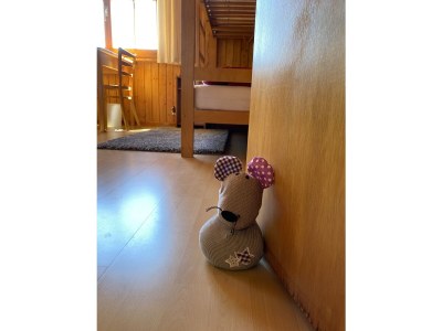 Holiday apartment in Chalet Steinmaetje - Erholung inbegriffen - Features photo 17