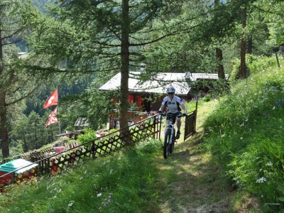 Holiday apartment in Chalet Steinmaetje - Erholung inbegriffen - Environment photo 30