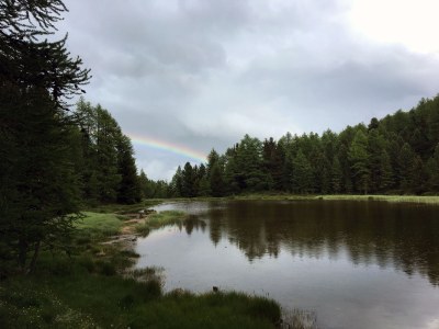 Holiday apartment in Chalet Steinmaetje - Erholung inbegriffen - Environment photo 33