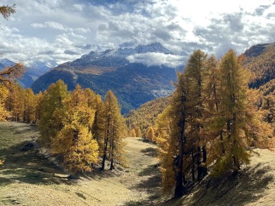 Holiday apartment in Chalet Steinmaetje - Erholung inbegriffen - Environment photo 36