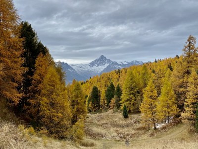 Holiday apartment in Chalet Steinmaetje - Erholung inbegriffen - Environment photo 37