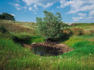 Villa Vision - Environment photo 39