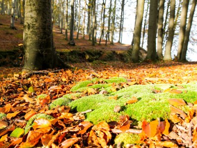 Holiday apartment Aqua Maris in Villa Isabell - Environment photo 16