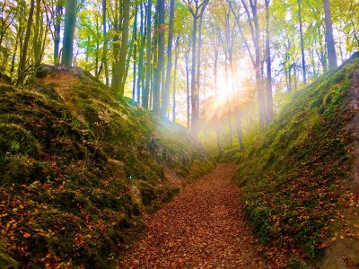 Holiday apartment Aqua Maris in Villa Isabell - Environment photo 17